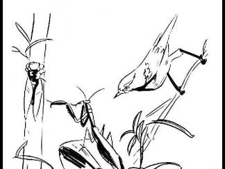 螳螂捕蝉黄雀在后1