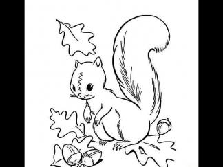 小动物丰收的秋天2