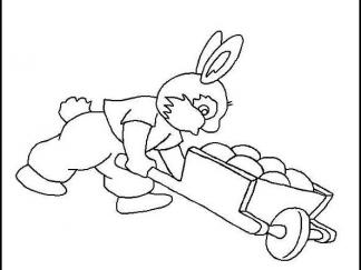 小动物丰收的秋天1