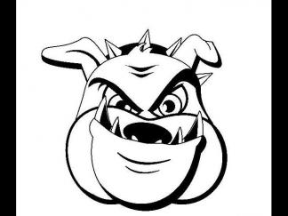 世界名犬斗牛犬2