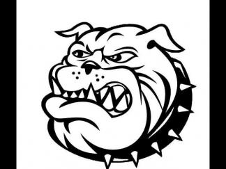 世界名犬斗牛犬3