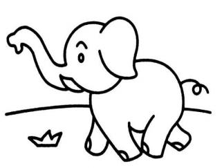顽皮的大象1