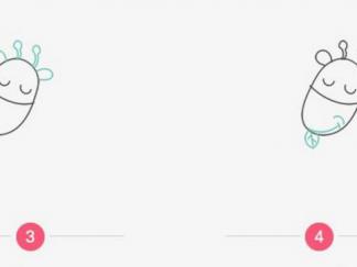 长颈鹿在吃树叶2