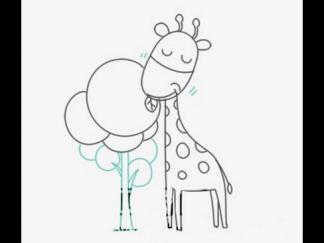 长颈鹿在吃树叶5