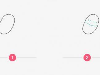 长颈鹿在吃树叶1