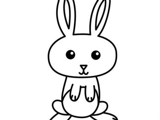 小白兔