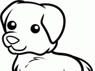 狗2