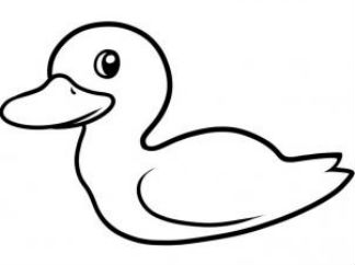 鸭子3