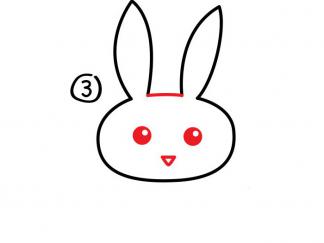 小白兔3