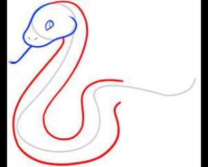  蛇4