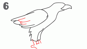 老鹰26