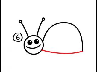 蜗牛36