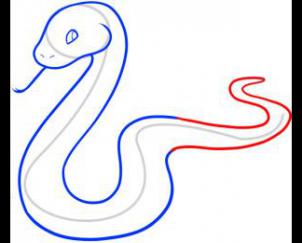  蛇5