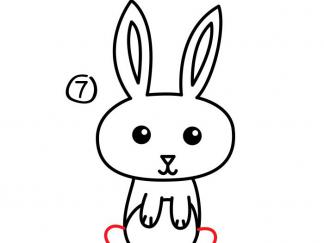 小白兔7