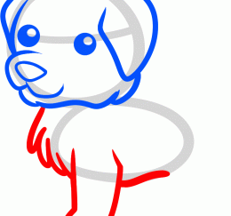 狗24