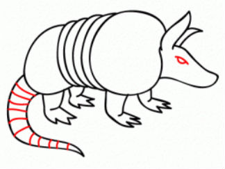犰狳