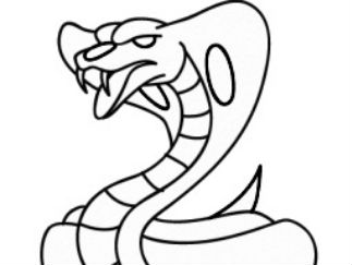 眼镜蛇
