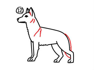 牧羊犬
