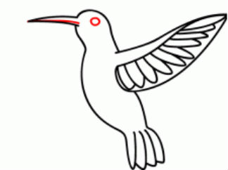 蜂鸟