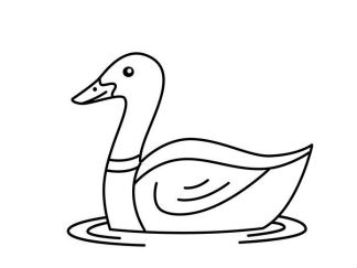 鸭子5