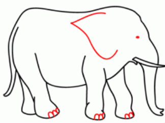 大象4
