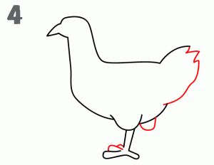 鸡24