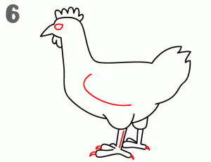 鸡26