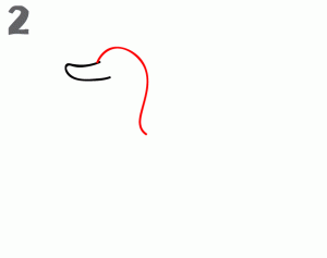 鸭子42