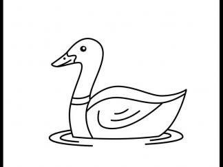 鸭子58