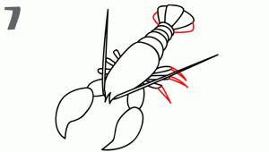 龙虾27