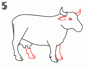 奶牛6