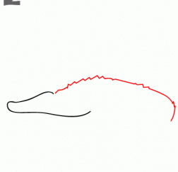 鳄鱼22