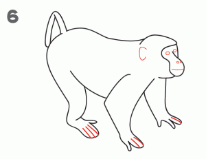 猴子26