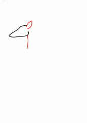 袋鼠22