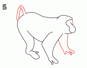 猴子25