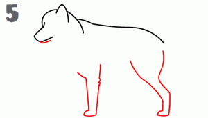 狼35