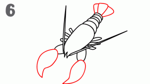 龙虾26