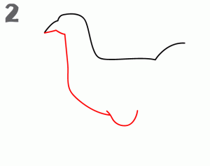 鸡22