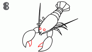 龙虾28