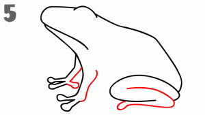 青蛙25