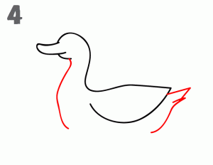 鸭子44