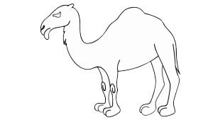 骆驼29