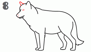 狼38