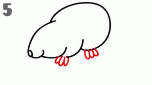 老鼠35