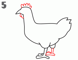 鸡25