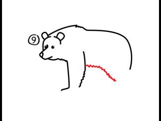 灰熊10