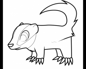 狗獾6