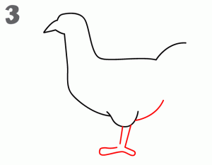 鸡23