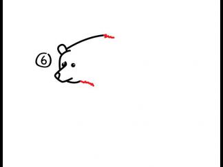 灰熊7