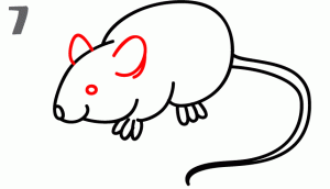 老鼠37